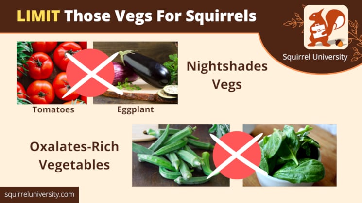 limit those vegetables for squirrels