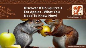 Do Squirrels Eat Apples? (and 10 Ways To PROTECT Your Trees) - Squirrel