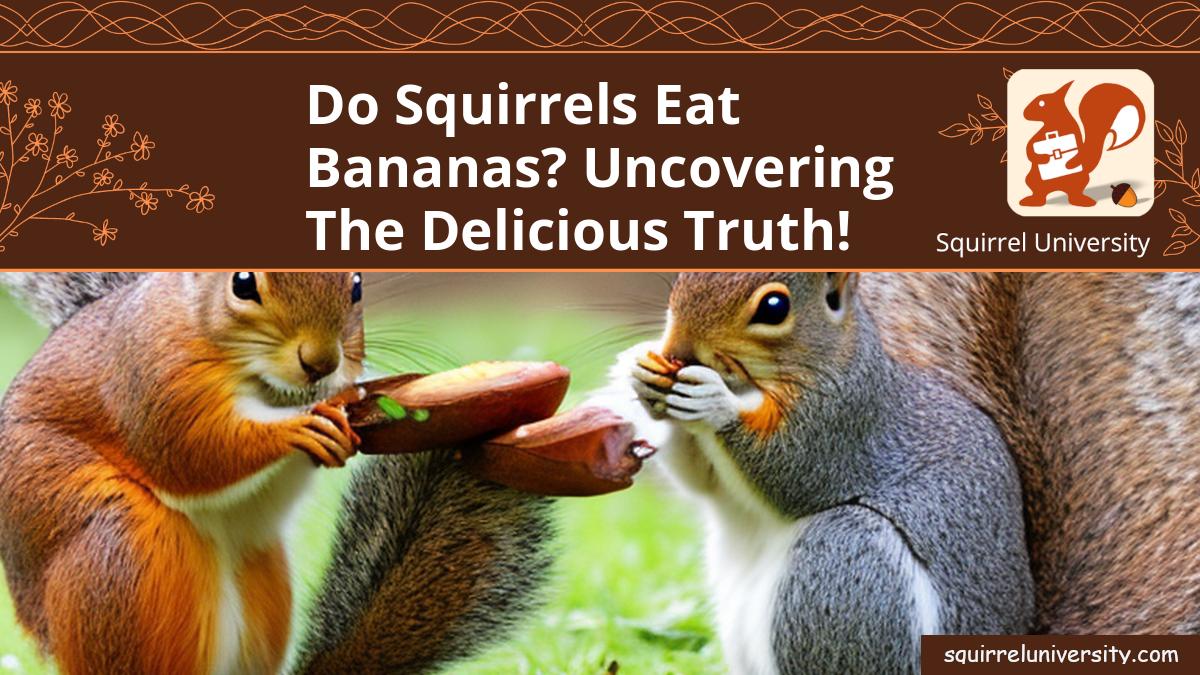 do squirrels eat bananas