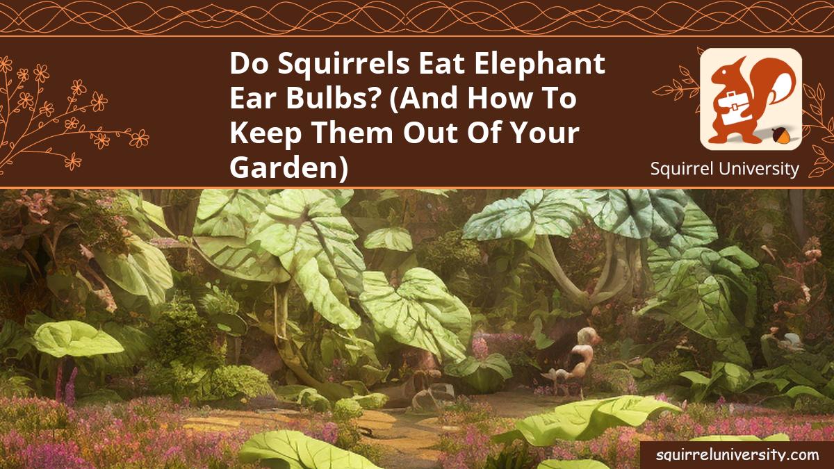 do squirrels eat elephant ear bulbs