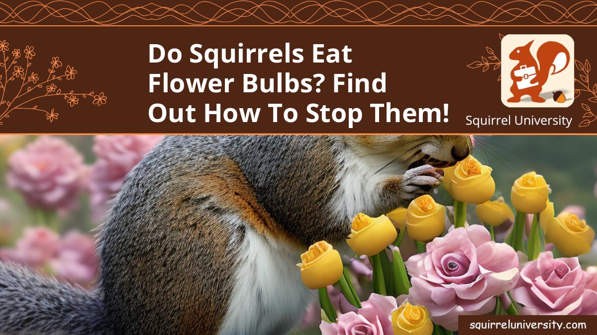 do squirrels eat flower bulbs