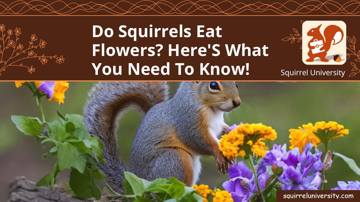 do squirrels eat flowers