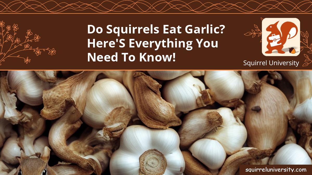 do squirrels eat garlic