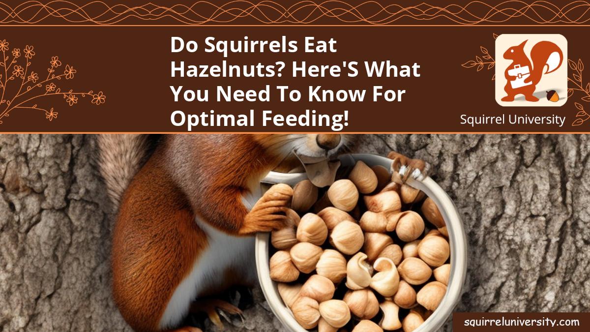 do squirrels eat hazelnuts