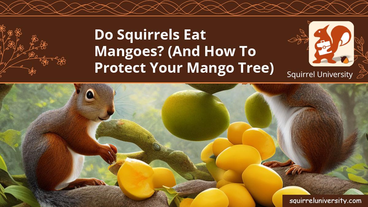 do squirrels eat mangoes