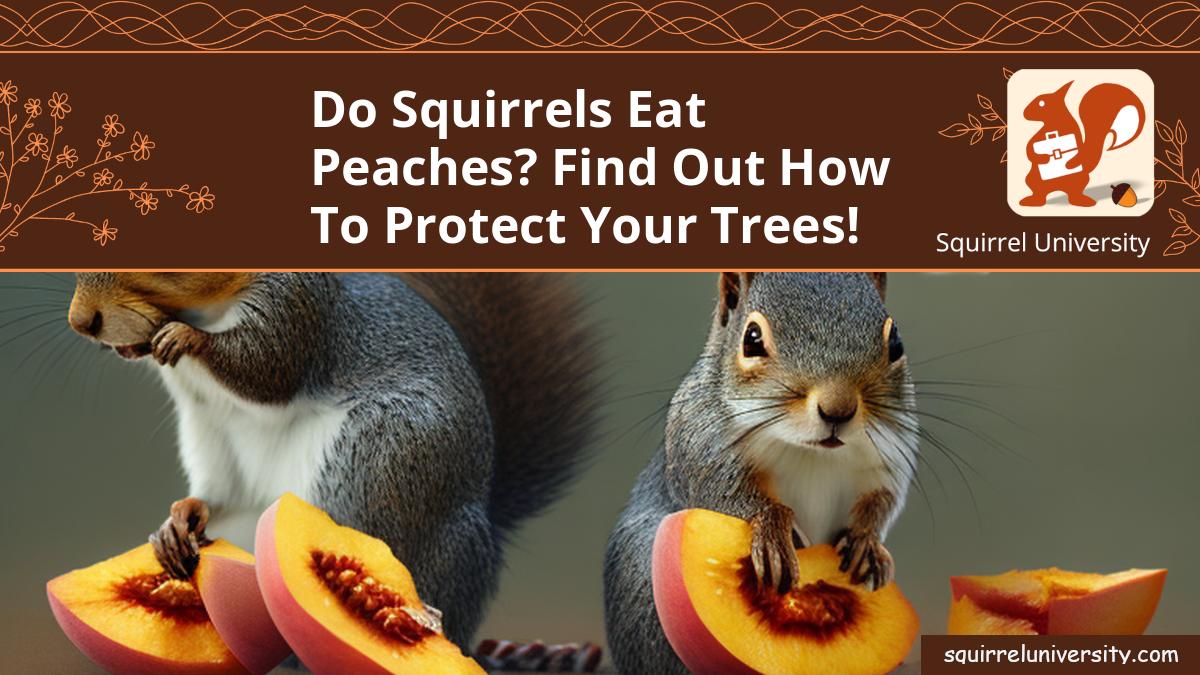 do squirrels eat peaches