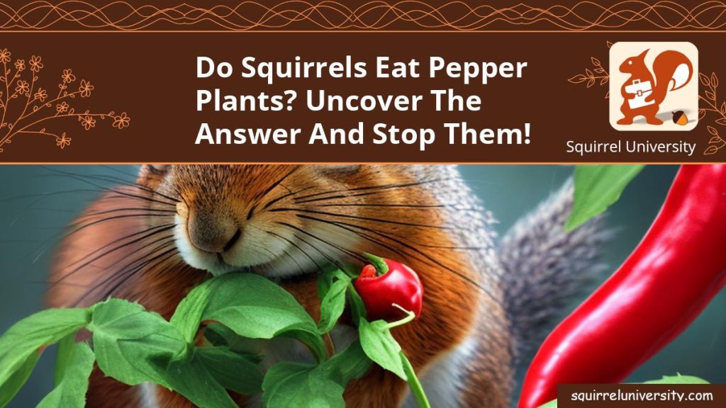 Do Squirrels Eat Pepper Plants? Uncover the Answer and STOP Them! Squirrel University