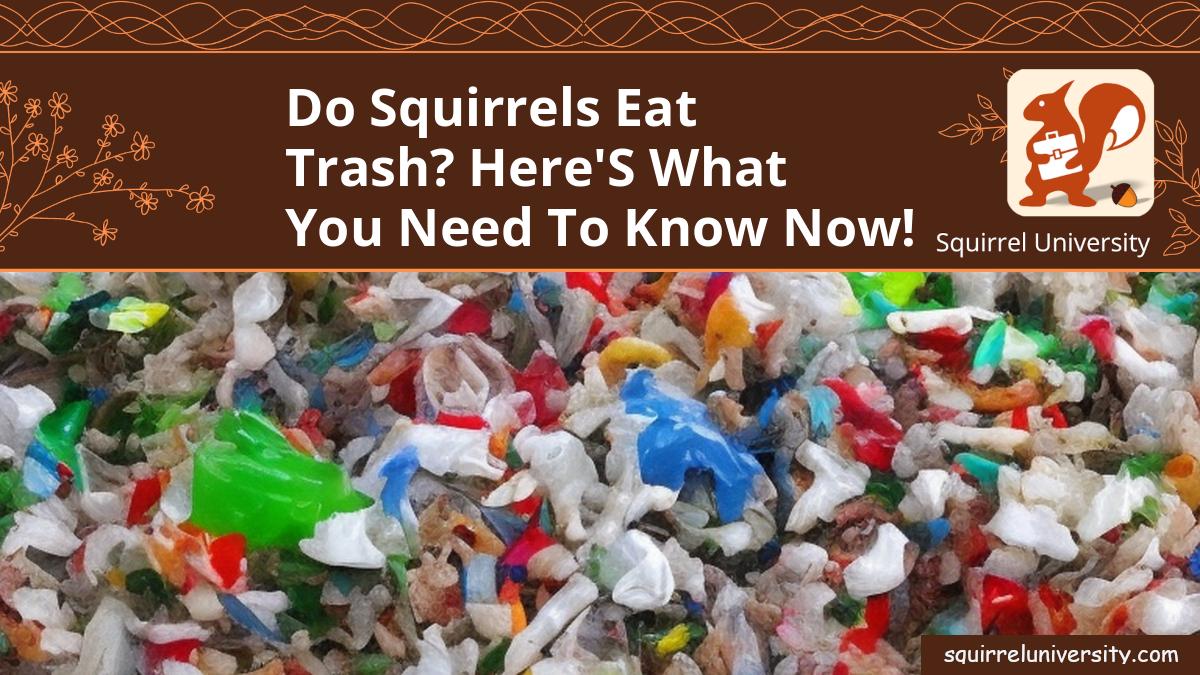 do squirrels eat trash