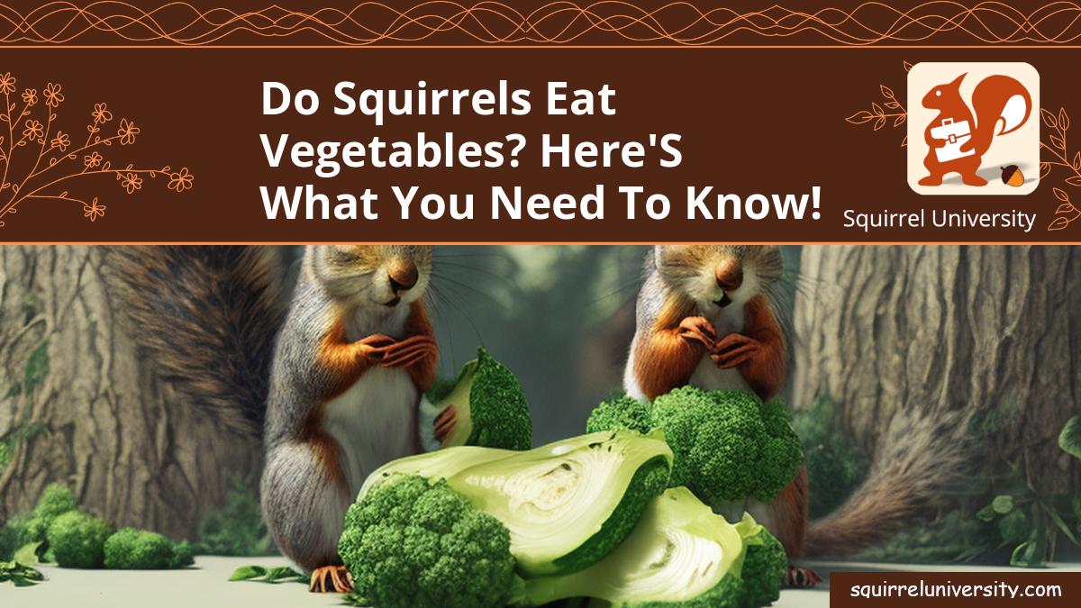 do squirrels eat vegetables
