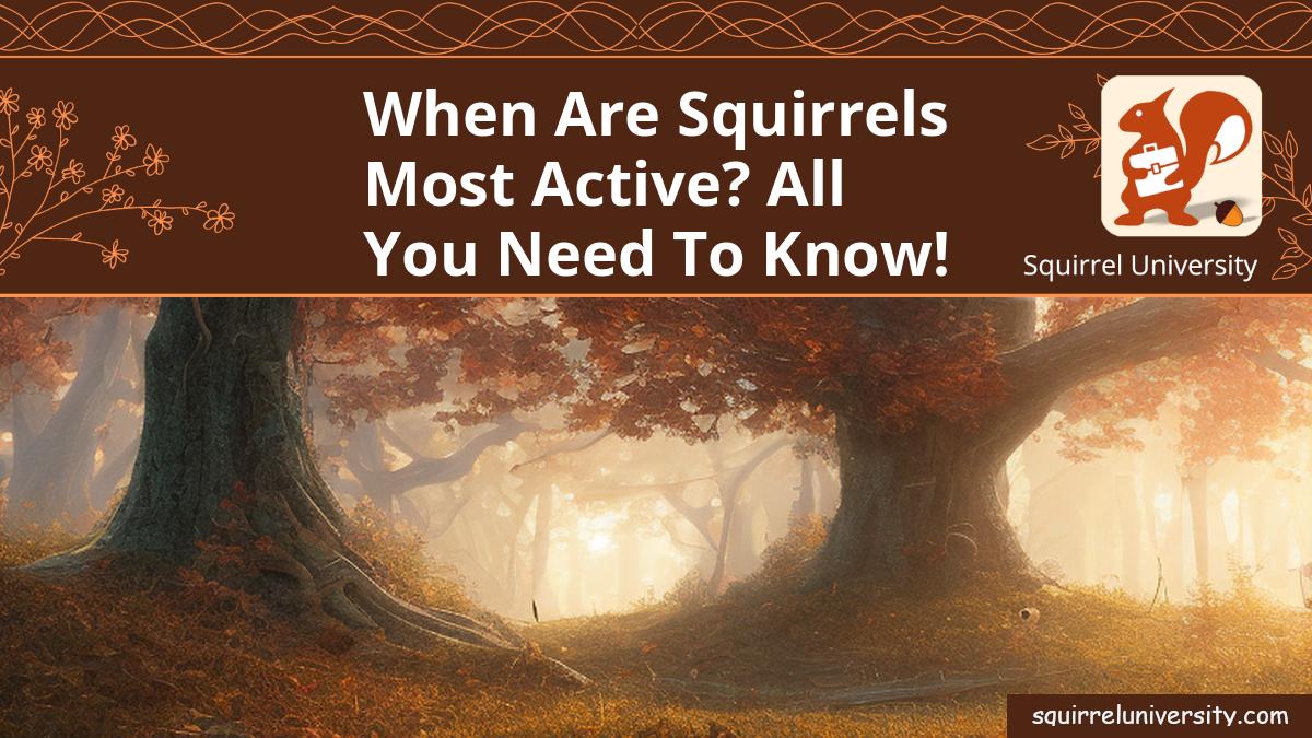 when are squirrels most active
