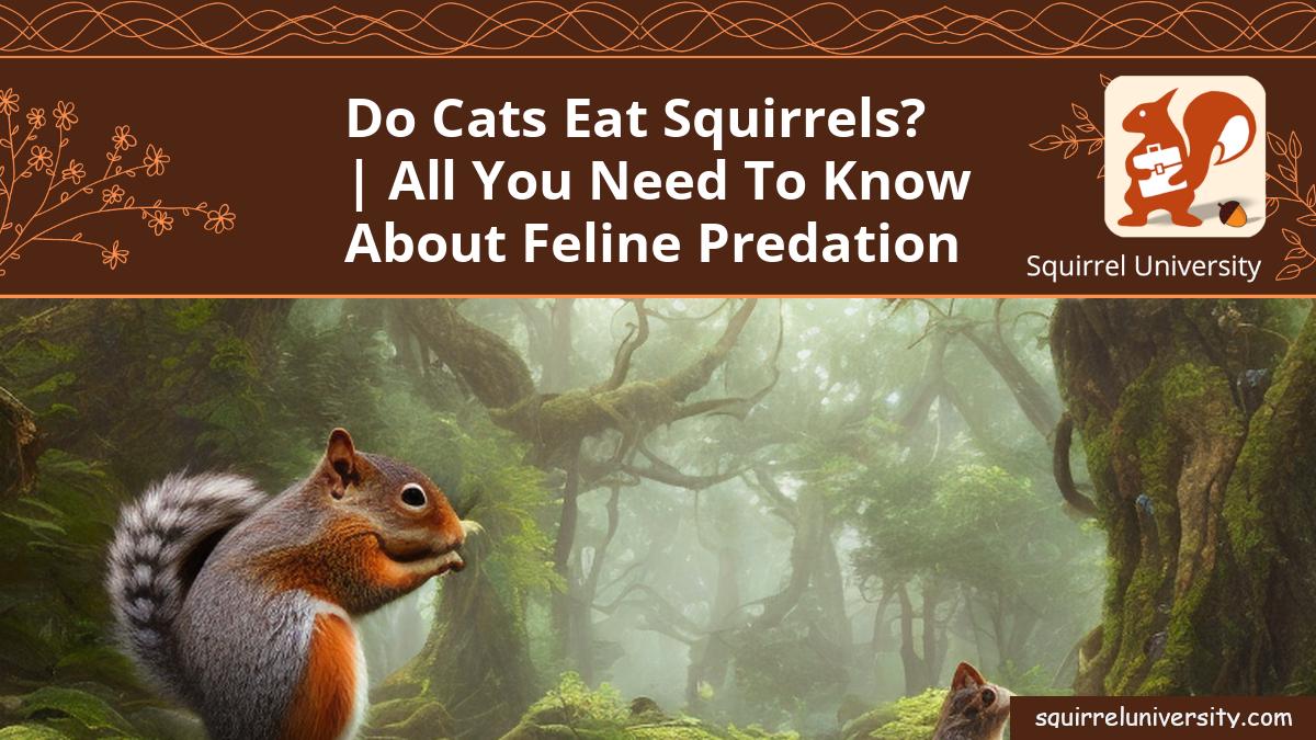 do cats eat squirrels