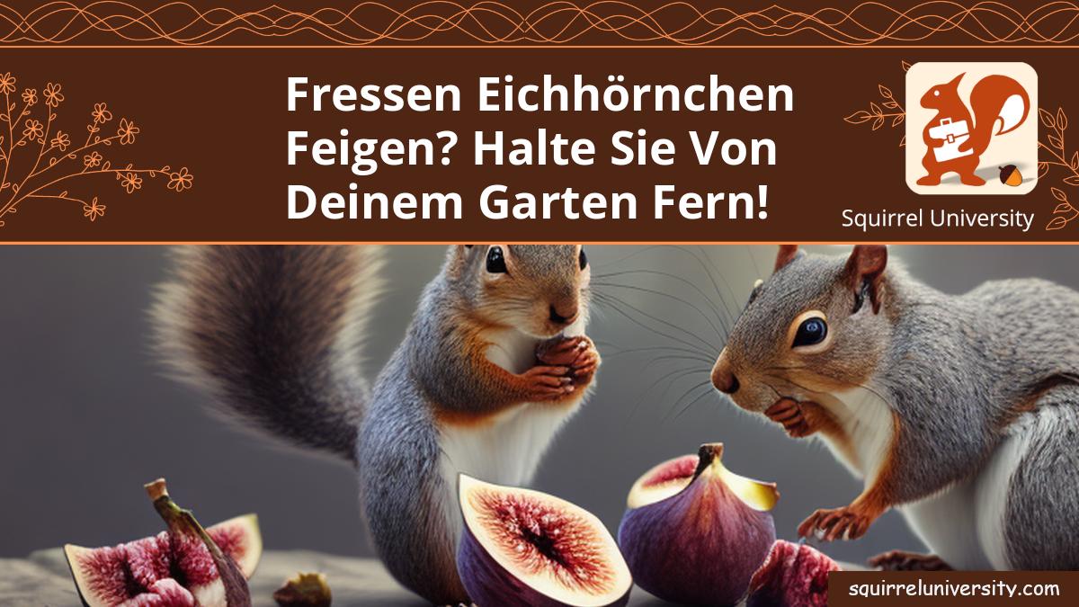 fressen eichhörnchen feigen