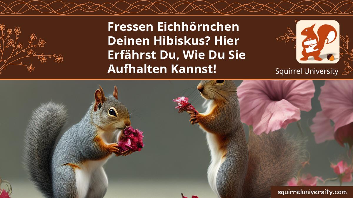 fressen eichhörnchen hibiskus