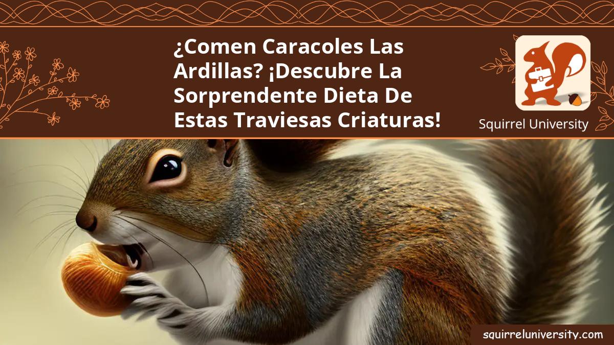 las ardillas comen caracoles