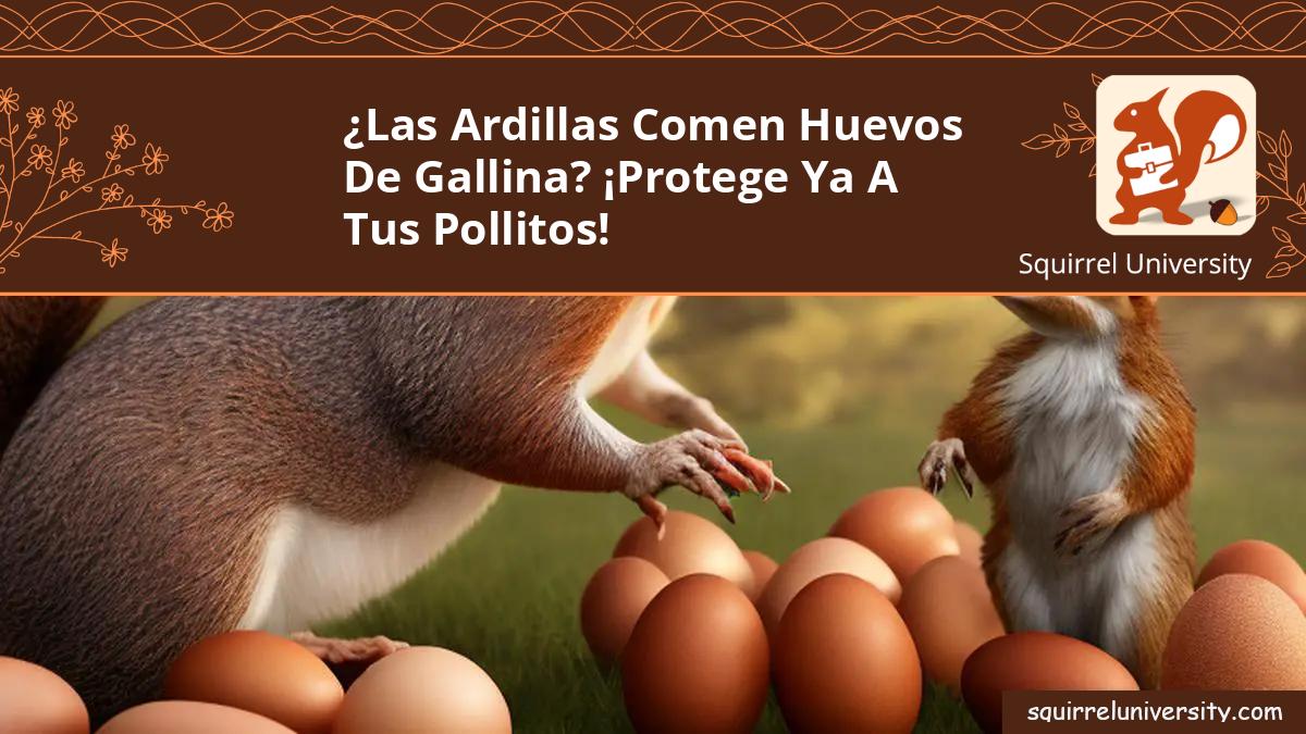 las ardillas comen huevos de gallina