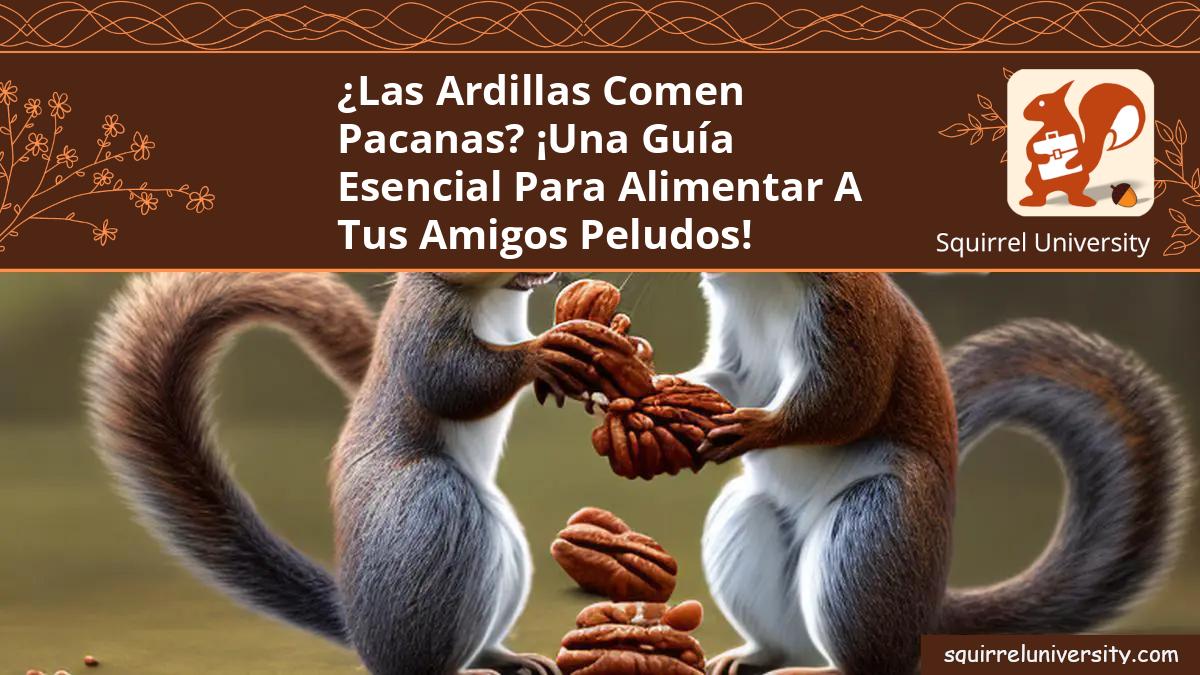 las ardillas comen pacanas
