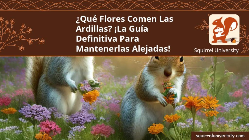 ¿Qué flores comen las ardillas? ¡La guía definitiva para mantenerlas ...
