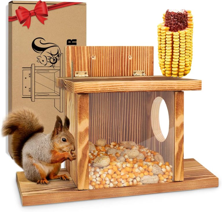 what-vegetables-do-squirrels-eat-and-how-to-protect-your-garden